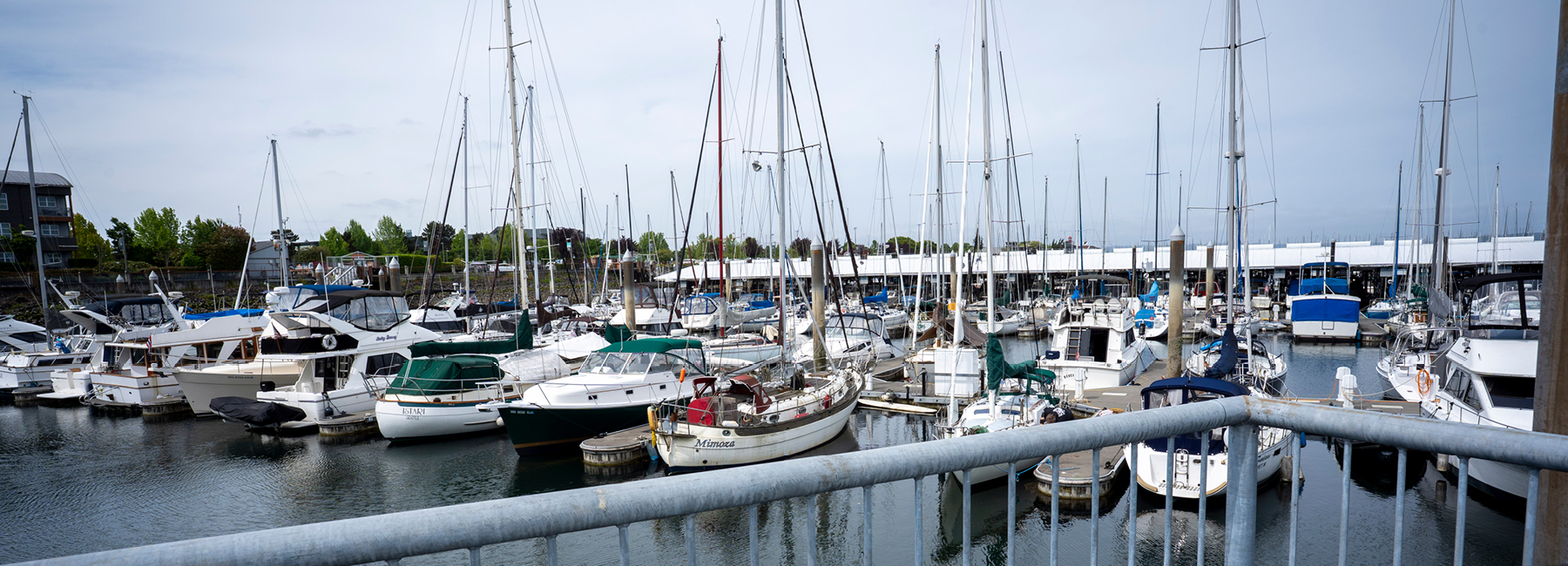 Marina full of sail boats.