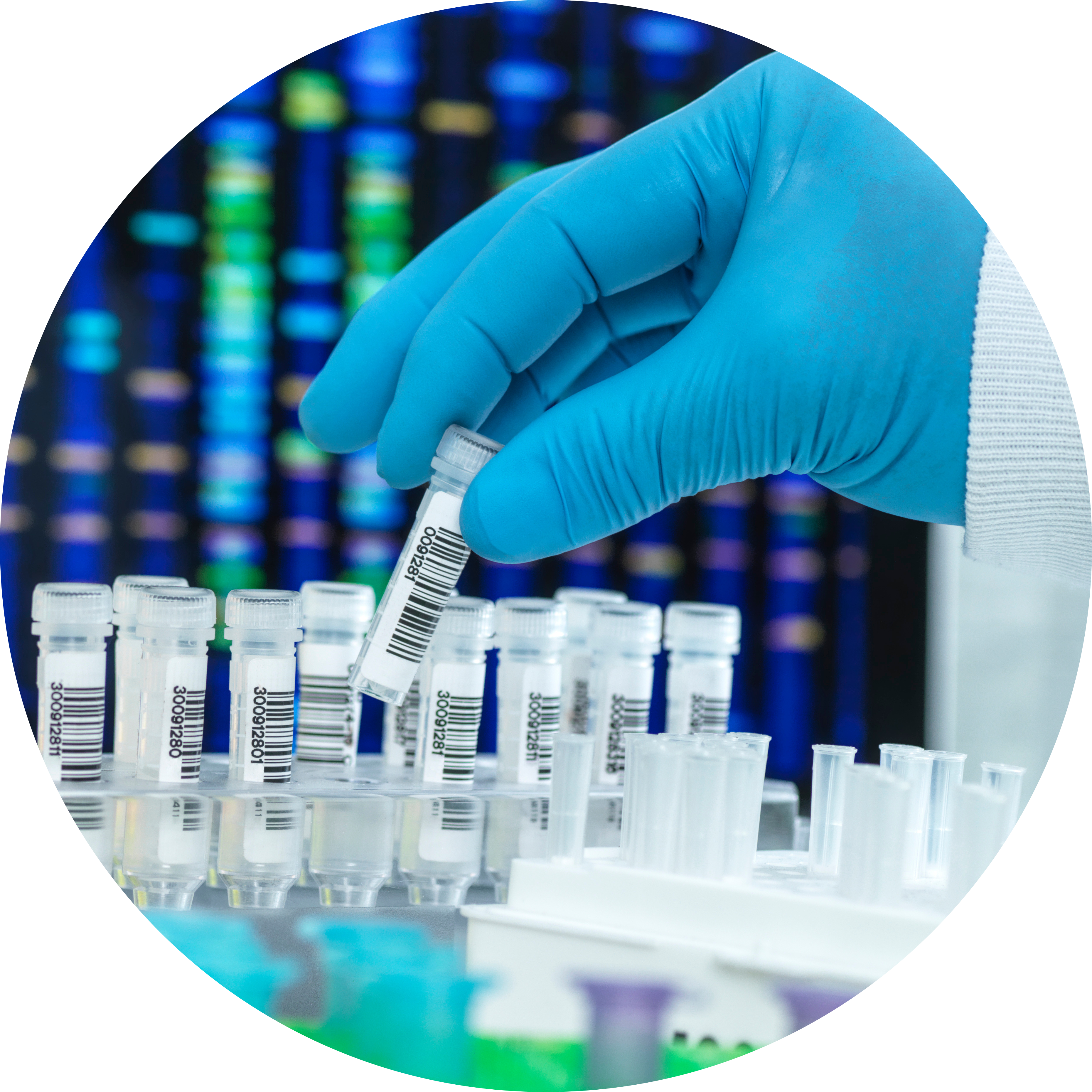 Scientist preparing a DNA sample for testing