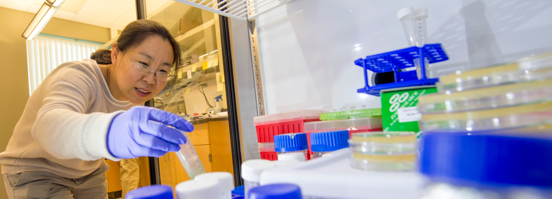 Jingru Sun working in Lab