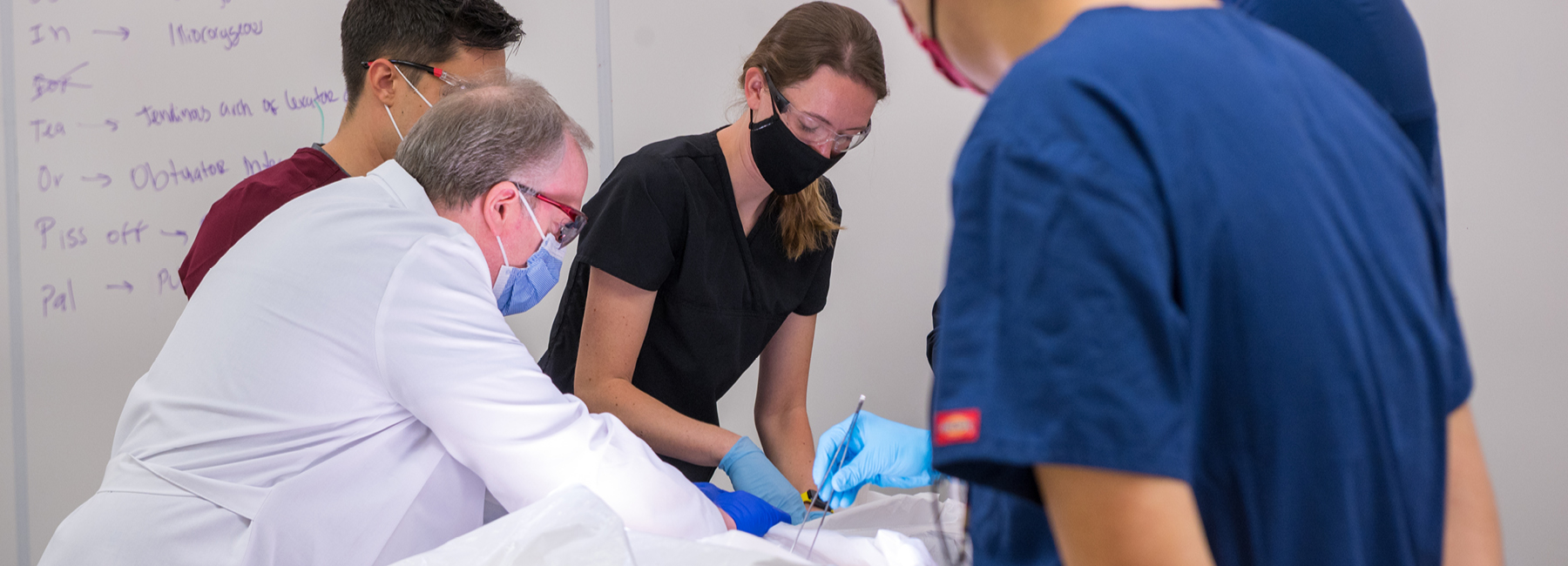 Medical Students in the Anatomy lab