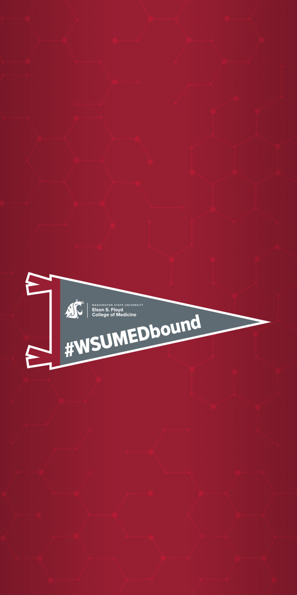 wsu med bound phone wallpaper