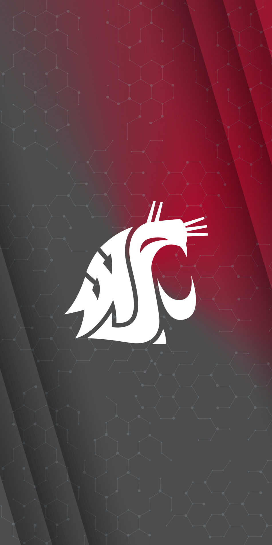 Cougar logo head phone wallpaper