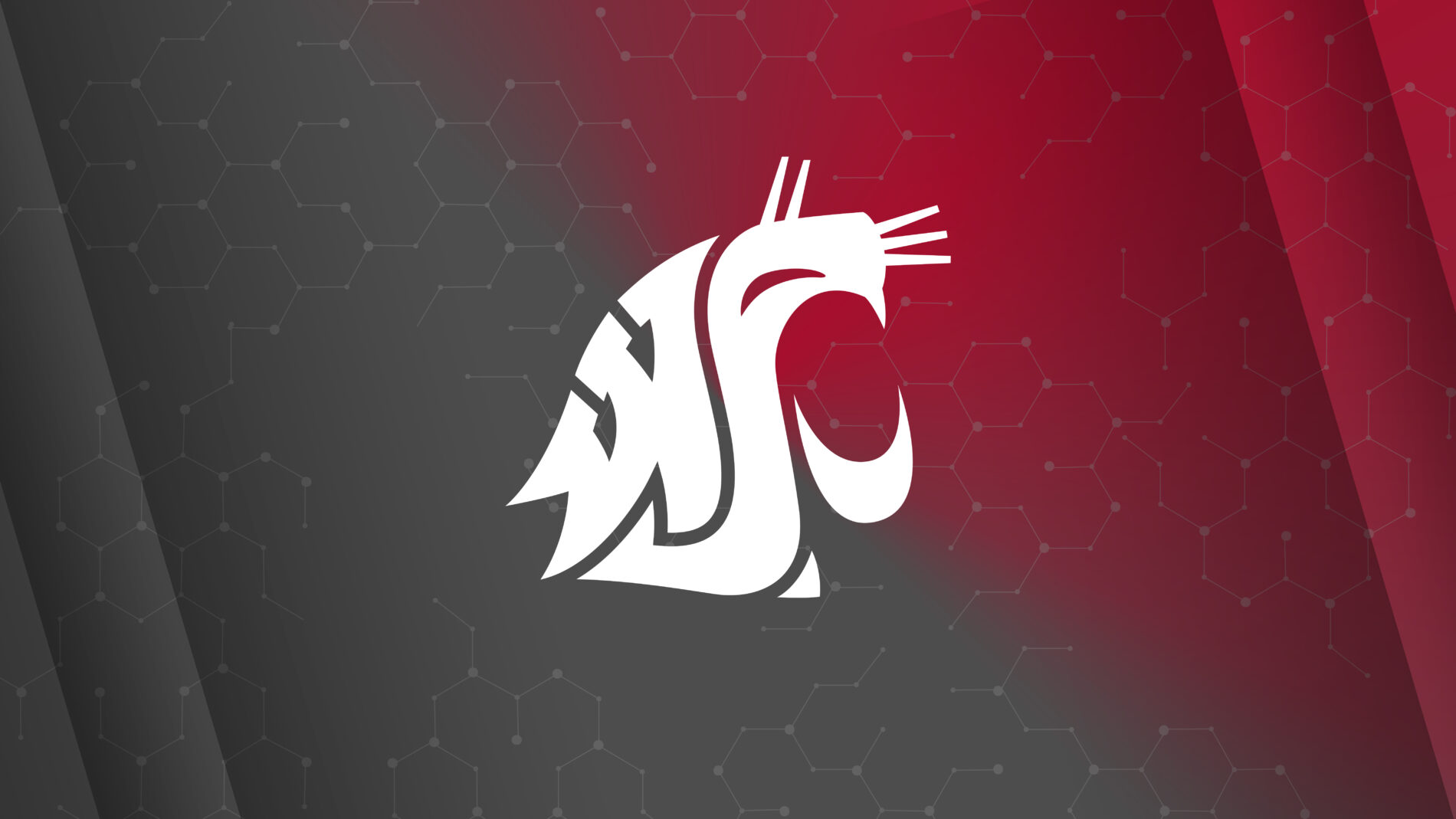 Cougar logo head wallpaper