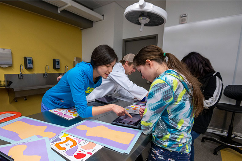 Stevens County students working on presentation
