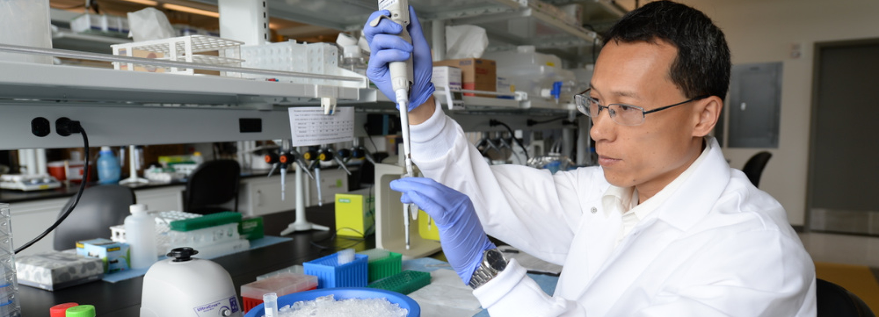 Researcher placing sample in test tube
