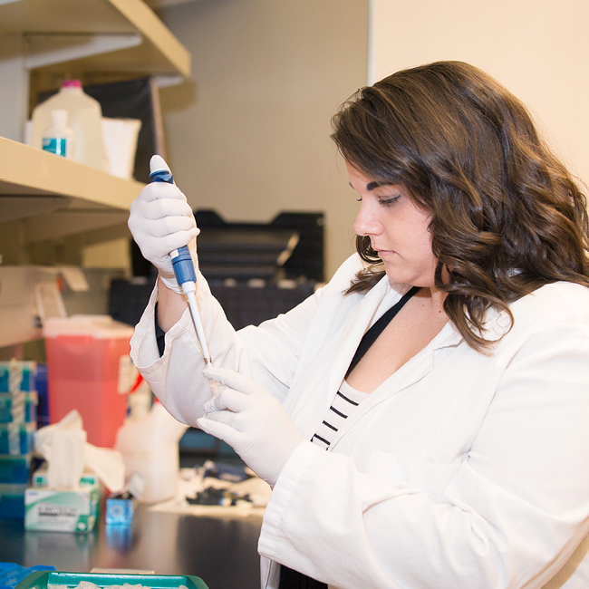 researcher working in the lab