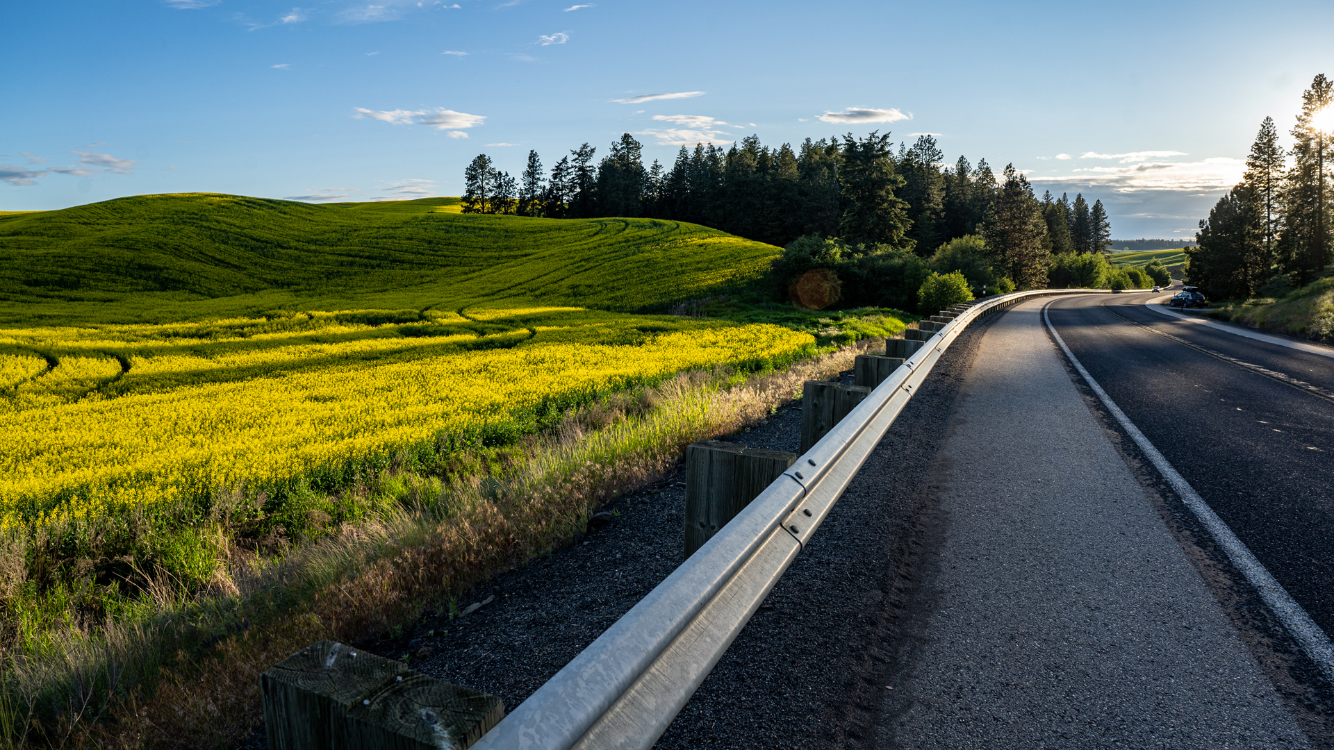 Empty highway in Palouse WA along side a yellow field. 