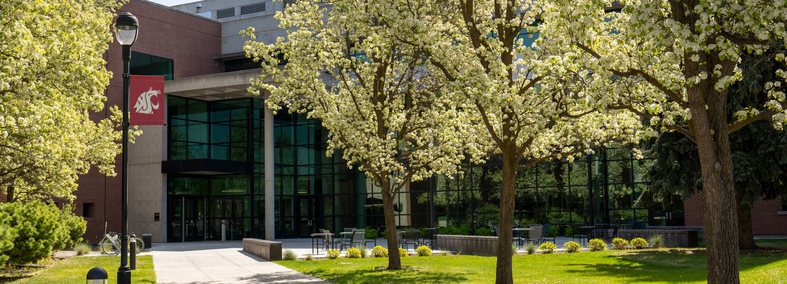 Outside view of the medicine building with the trees in bloom.