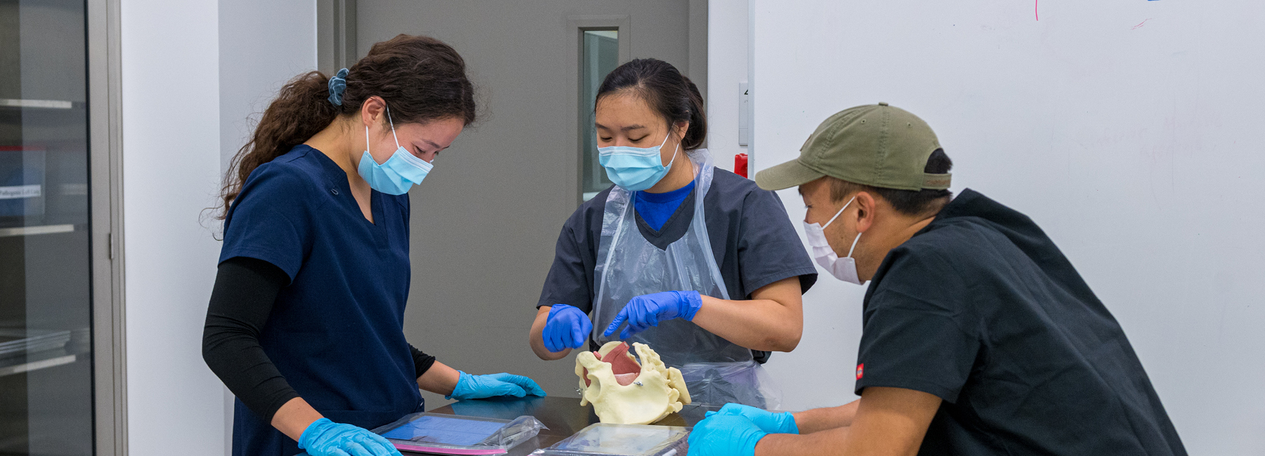 Students working in Skills Lab