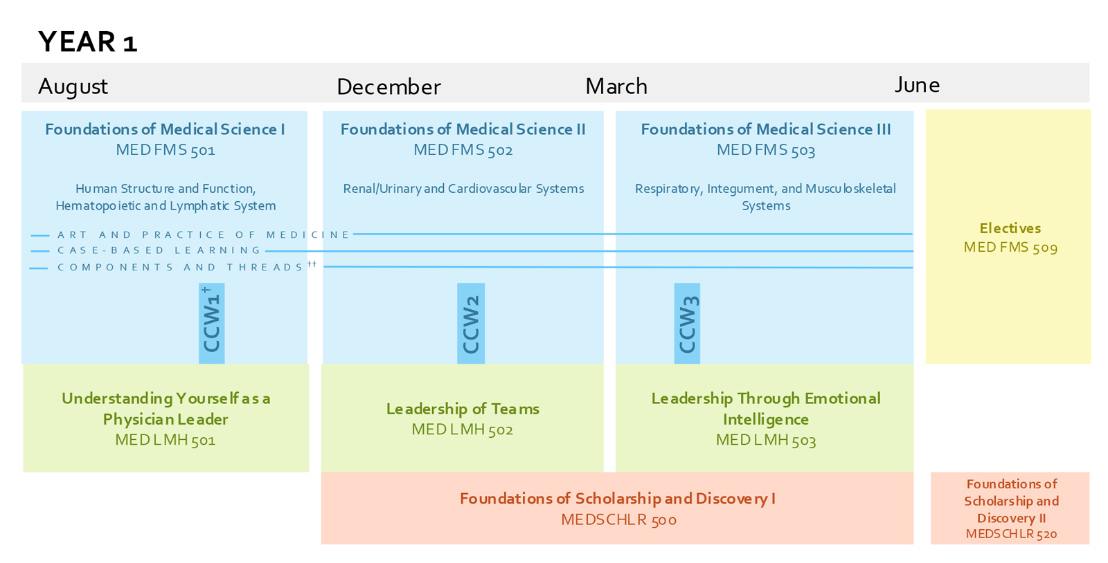 Chart of the 2025-2026 Curriculum Schematic for Year 1 MD Students.