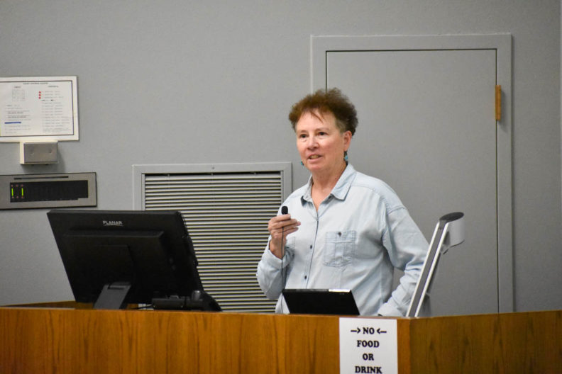 Dr. Cill Richards talks to students at the Fall 2019 MME Mentoring Event