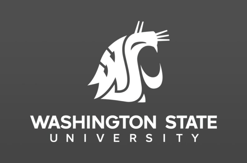 Washington State University logo displayed in white on a dark gray background. The image features the university’s stylized cougar head emblem centered above the words “WASHINGTON STATE UNIVERSITY” in white capital letters.
