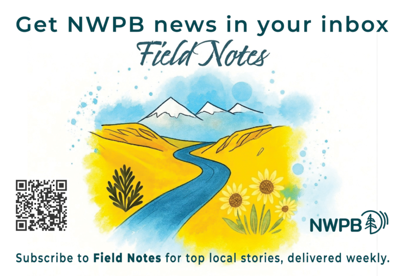 Field Notes