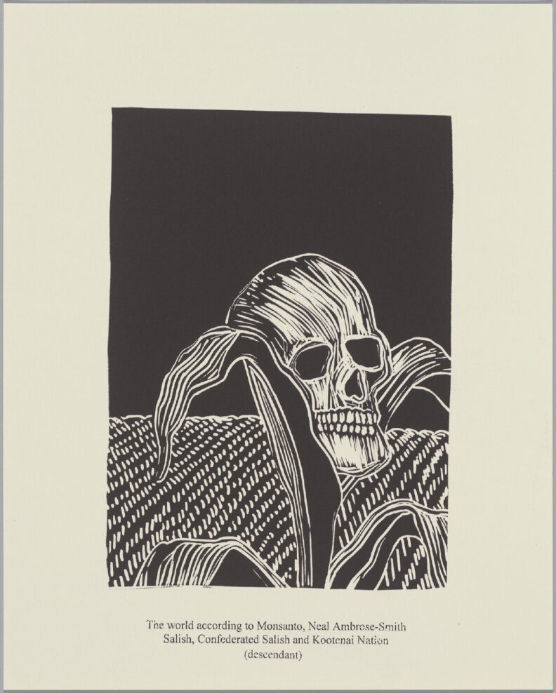 black and white image of a cornstock growing a skull