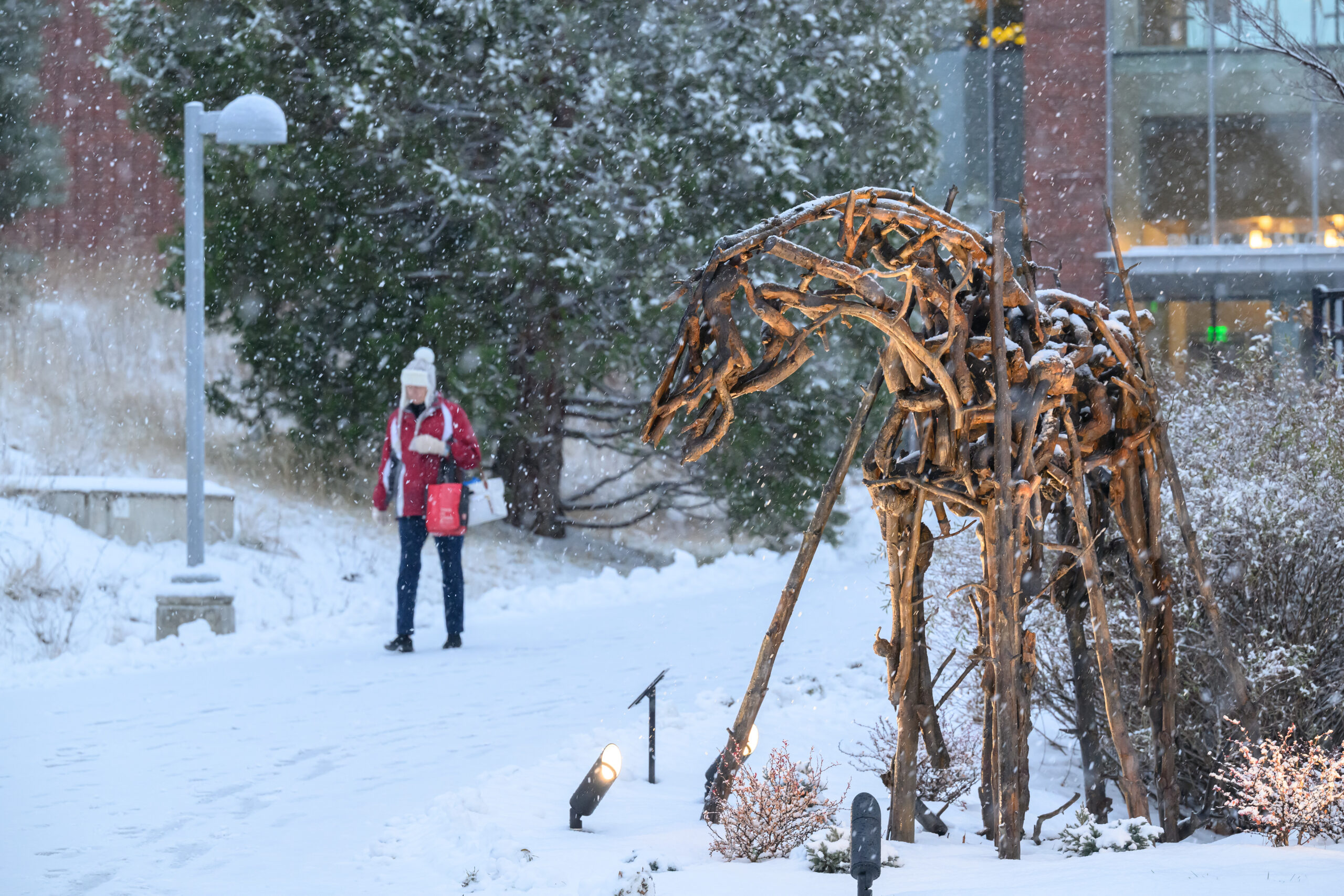 a horse sculpture made out of driftwood, outside in the snow with a person walking by