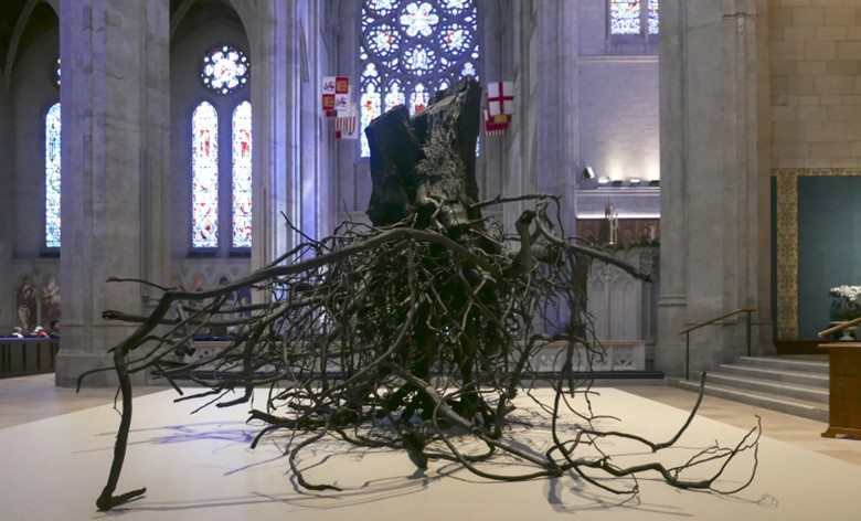 A picture of the roots and trunk of a very large tree set inside a cathedral