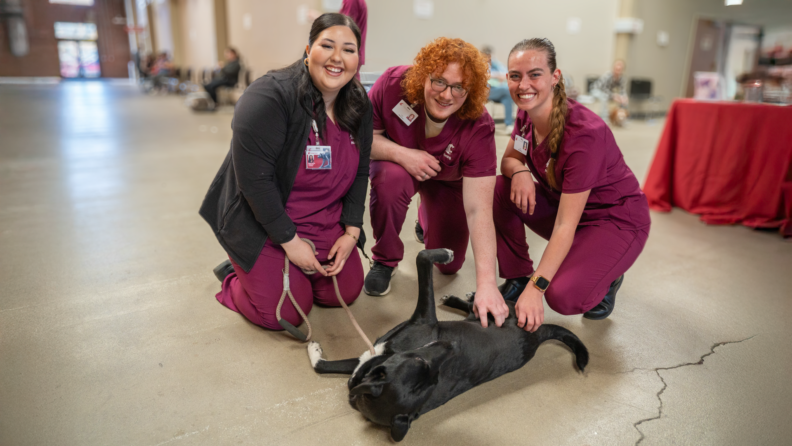 BSN students Ruby, Tyler, and Gina lending a helping hand at Healthy People Healthy Pets, on April 17, 2025.