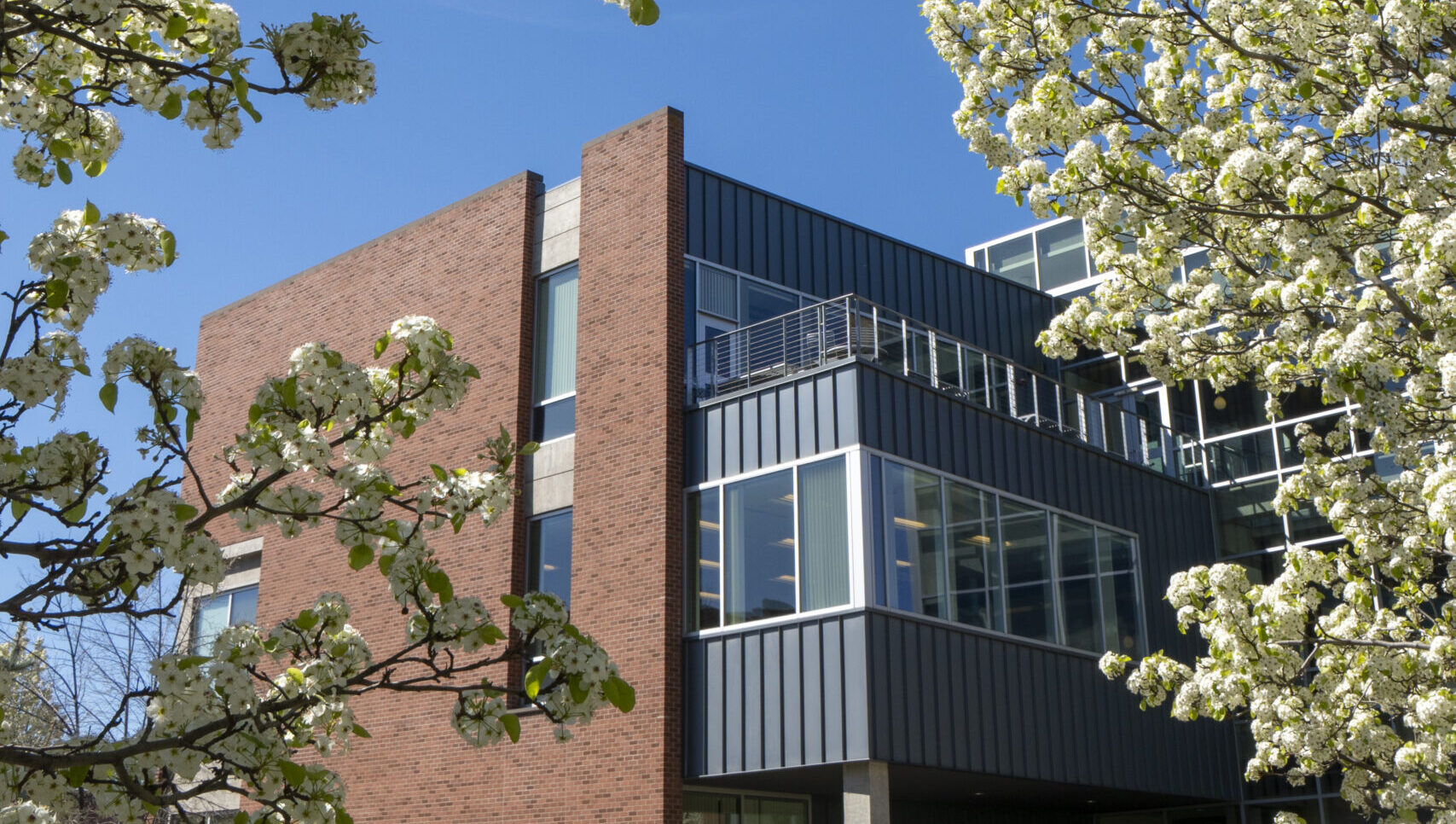 Spring on the WSU Spokane Campus, featuring the College of Nursing building.