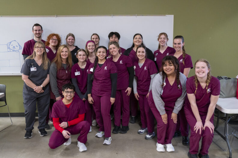 Students, faculty, and staff from the WSU College of Nursing, volunteering for Healthy People Healthy Pets, April 17, 2025.