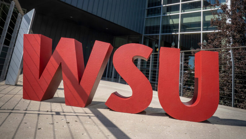 Red WSU letters with the WSU College of Nursing building in the background.