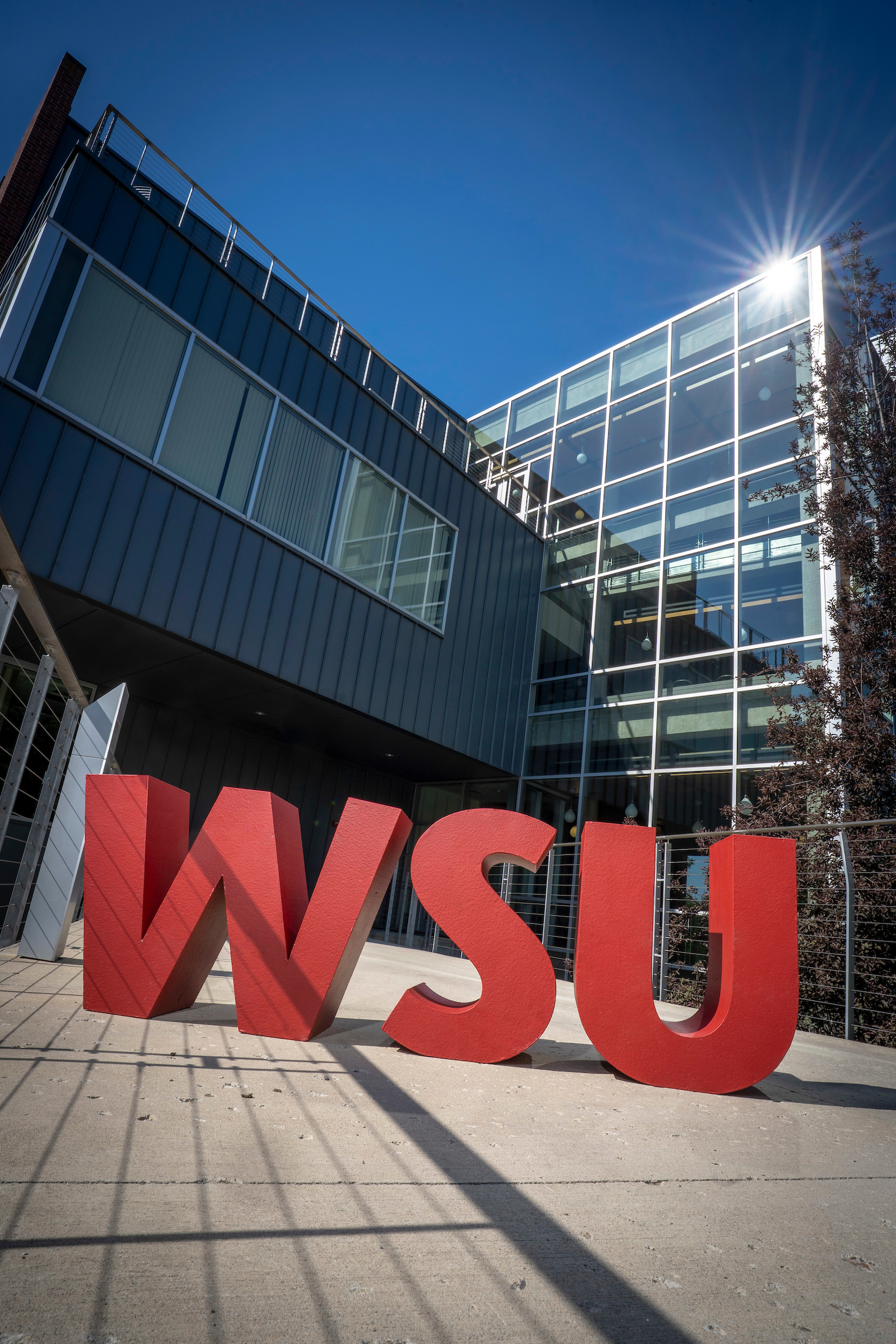 WSU College of Nursing building with red WSU letters displayed in the foreground.