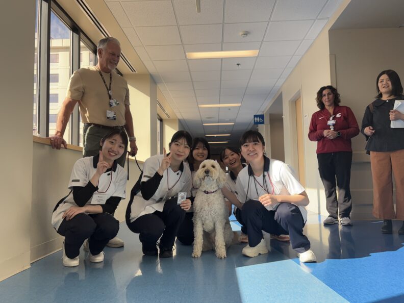 Iwate students meeting therapy dogs at clinical sites in Spokane, WA.