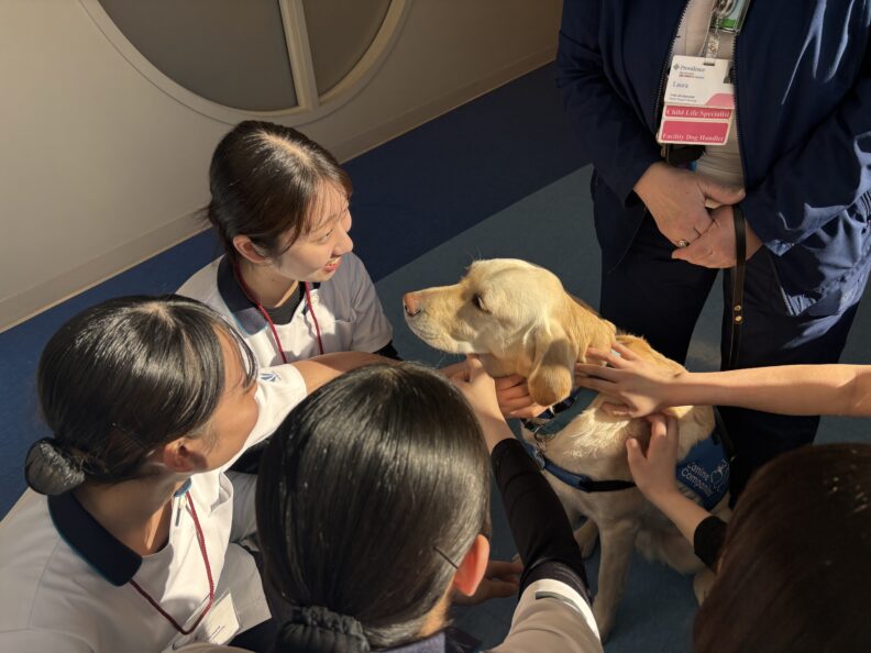 Iwate students meeting therapy dogs at clinical sites in Spokane, WA.