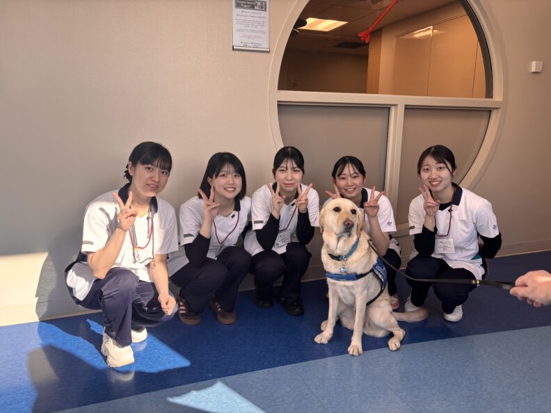 Iwate students meeting therapy dogs at clinical sites in Spokane, WA.