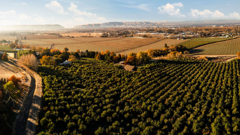 Yakima Valley Orchard View.