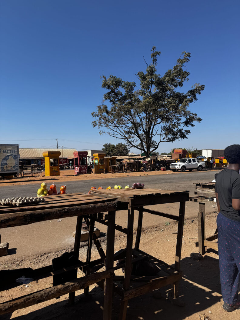 Roadside market in Baluba Village. Photo: Abigail Elliott.
