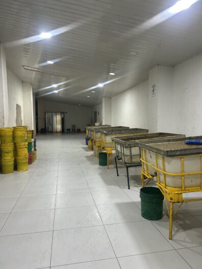 This here where the honeycombs get placed and squeezed. The honey will drip into the containers and down into the buckets. Photo: Gracie Garrison.