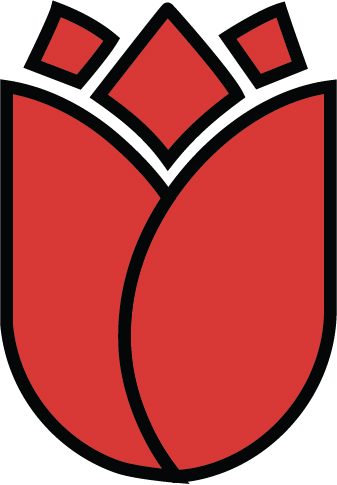 Red tulip illustration