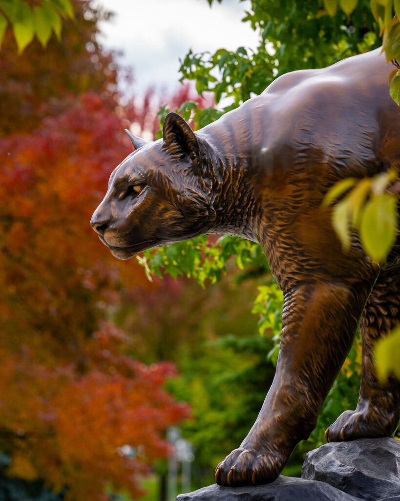Bronze cougar statue on the Spokane campus.