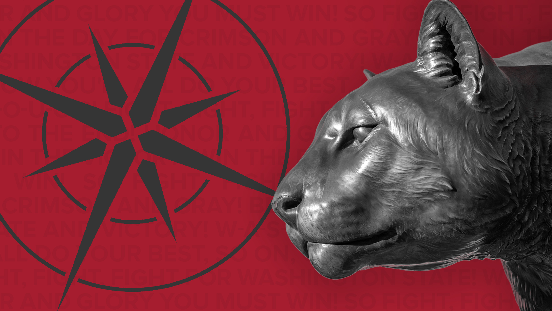 A photo of a Cougar imposed on a compass.