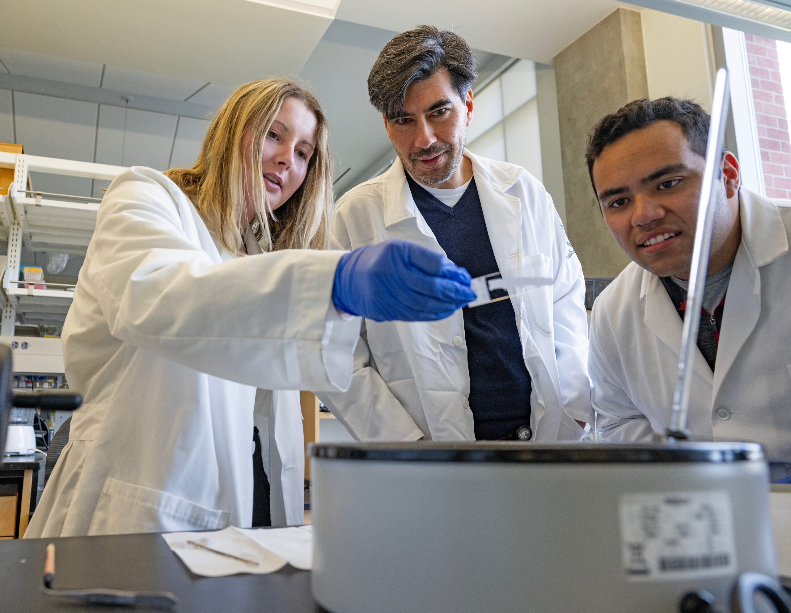 Faculty Member Ryan Driskell with College of Veterinary Medicine students working on research in a molecular biology lab.