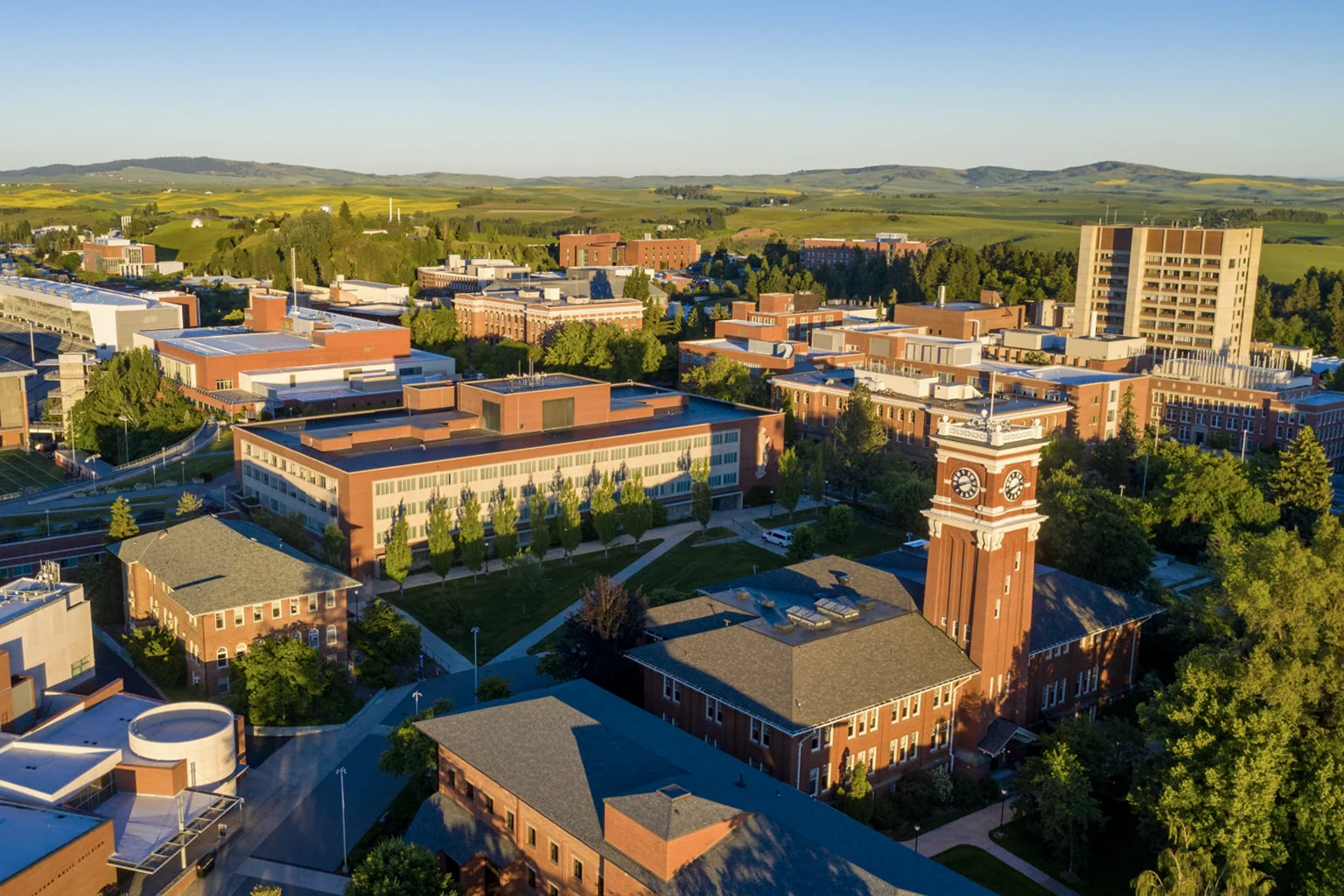 Aerial view of the WSU Pullman campus looking northwest on a sunny day. Moving from the foreground to background are seen Avery Hall, Bryan Clock Tower, Holland and Terrell Libraries, and so on.
