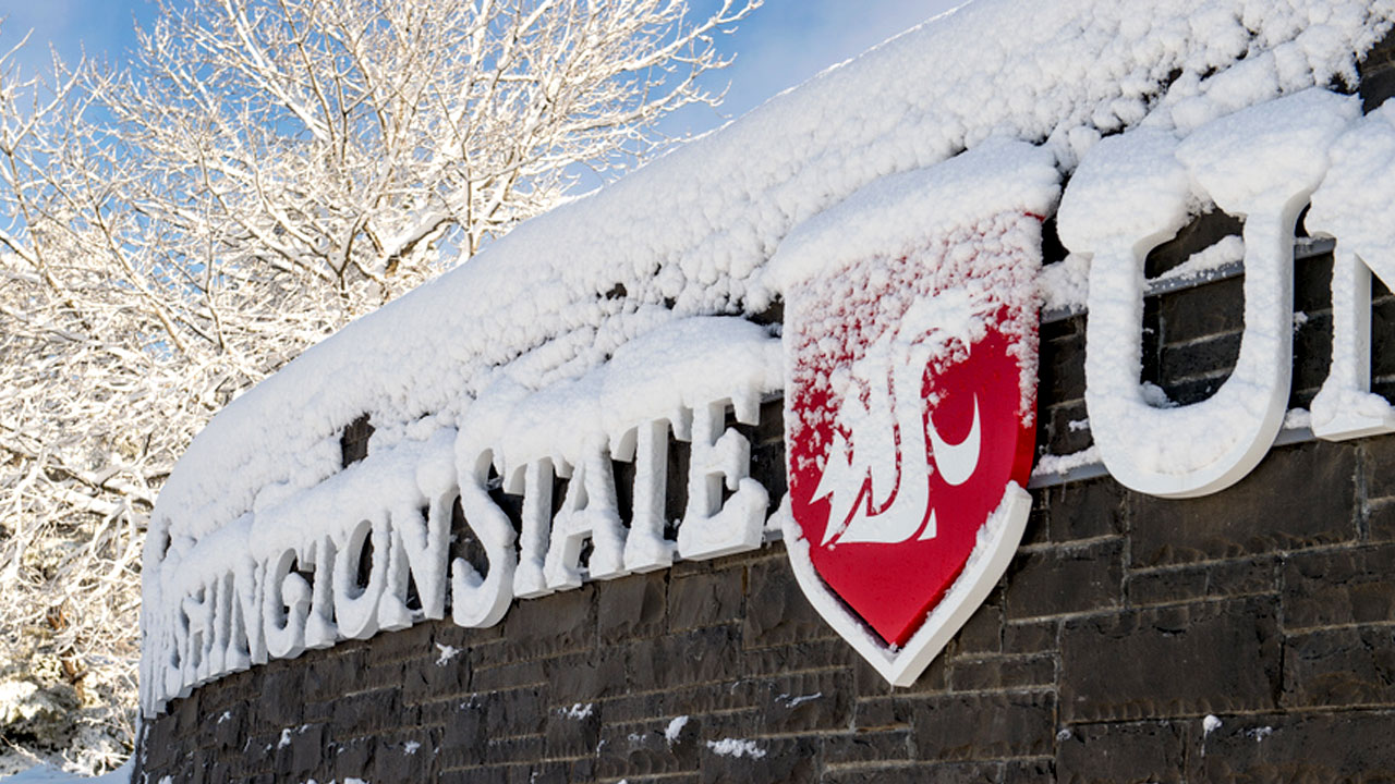 Stone brick wall overlaid with the WSU logo located at the entrance to the WSU Pullman campus. Snow has accumulated on the tops of the wall and logo lettering.