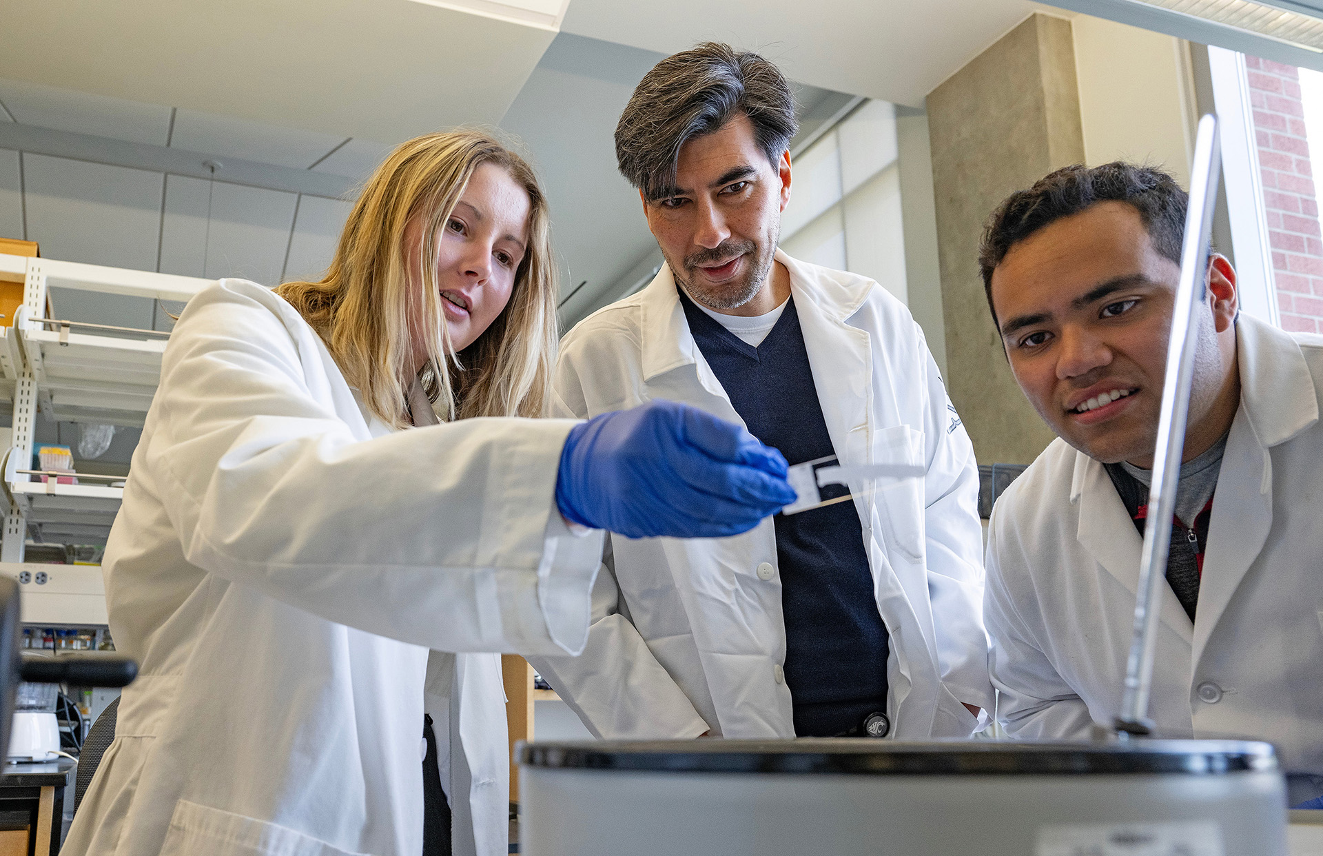 School of Molecular Biosciences professor Ryan Driskell works on a molecular biology project in the lab with two of his students.