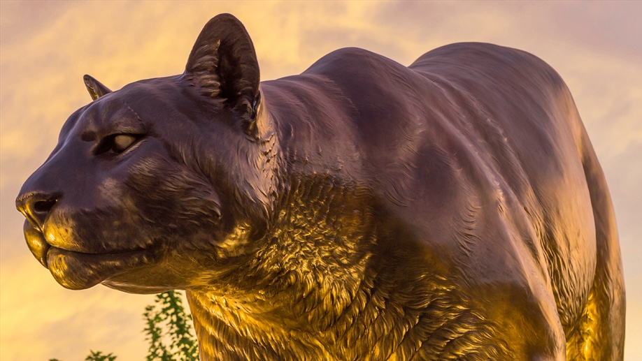 Cougar statue representing a Provost's Office staff member.