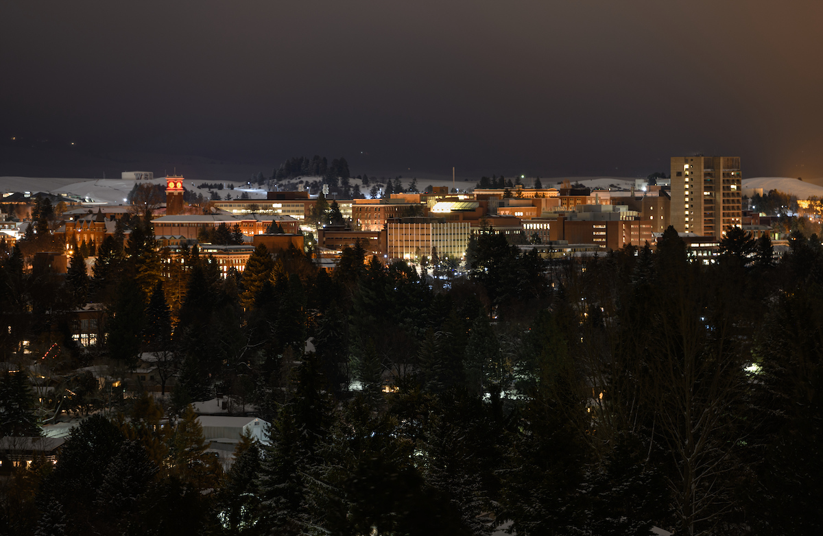 WSU Pullman at night