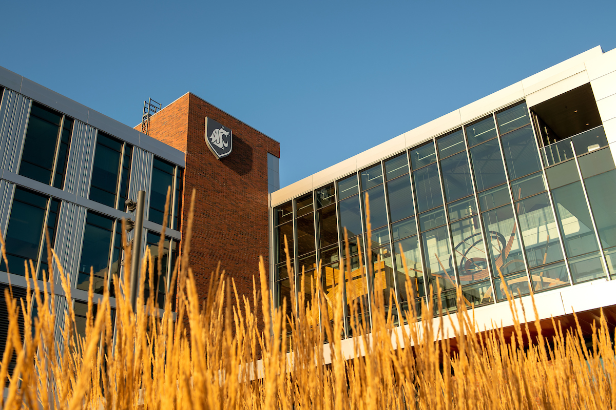 Architectural photo of the WSU Everett Campus with a blue sky and yellow wheat in the foreground