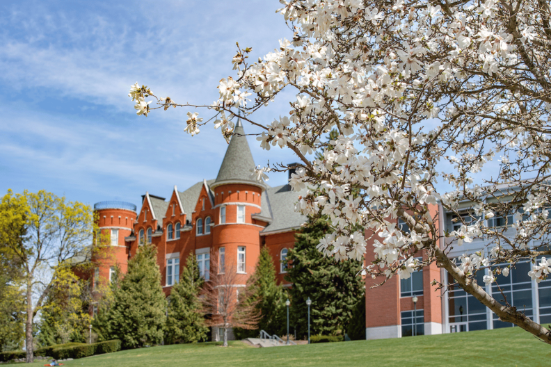 Photograph of Thompson Hall in the spring, with cherry blossom's in full bloom