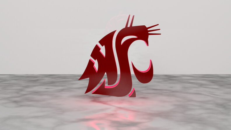 The official WSU logo.