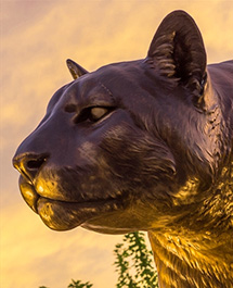 Bronze statue of a cougar used as a symbol of WSU.