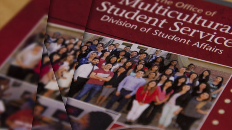 MSMP-posterimage-notext