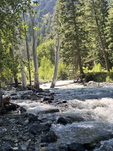 Photo submitted for APAC photo contest