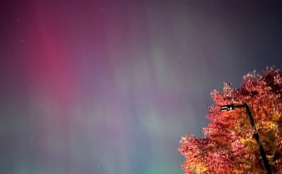 Photo submitted for APAC photo contest 