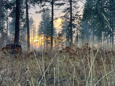 Photo submitted for APAC photo contest