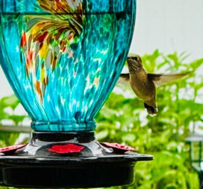 Photo submitted for the APAC photo contest