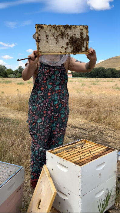 Photo submitted for APAC photo contest